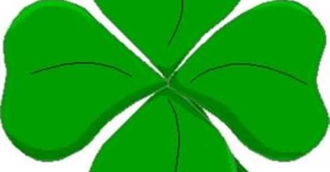 ruyada 4 yaprakli yonca gormek dogadan dermanlar